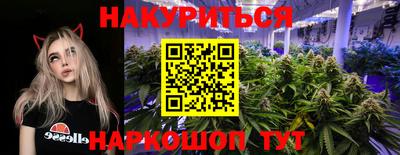 спайс Будённовск